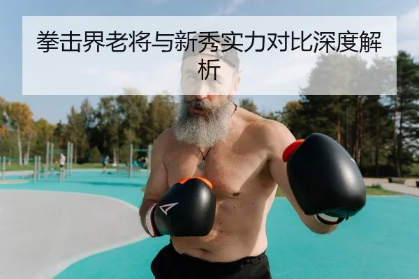 拳击界老将与新秀实力对比深度解析